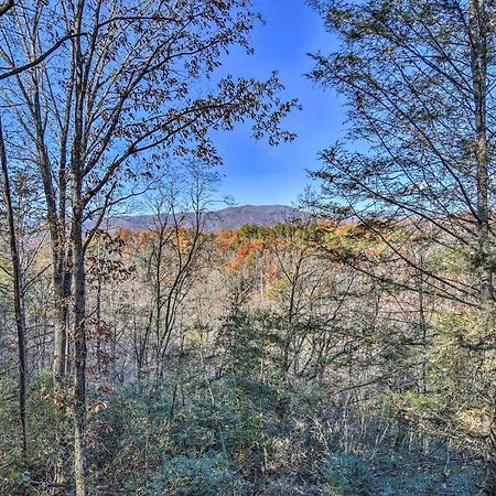 Natures Retreat With Hot Tub 7 Mi To Bryson City Whittier Buitenkant foto